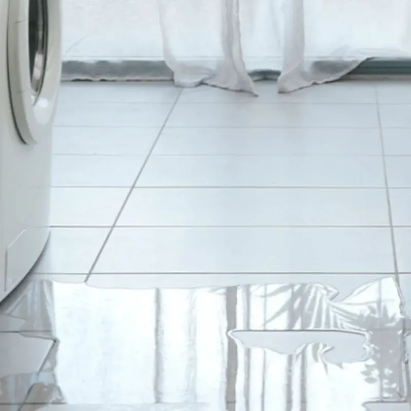 Appliance Leak Cleanup in Forest Grove, OR